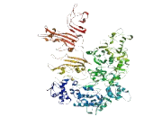 HEAT Repeat Containing Protein 5A (HEATR5A)