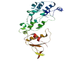 HEAT Repeat Containing Protein 5B (HEATR5B)