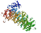 HEAT Repeat Containing Protein 7A (HEATR7A)