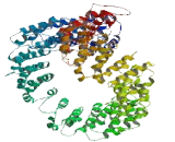 HEAT Repeat Containing Protein 7B2 (HEATR7B2)