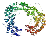 HEAT Repeat Containing Protein 8 (HEATR8)