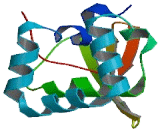 HECT, C2 And WW Domain Containing E3 Ubiquitin Protein Ligase 1 (HECW1)