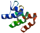 HECT Domain And Ankyrin Repeat Containing, E3 Ubiquitin Protein Ligase 1 (HACE1)