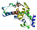 HECT Domain Containing Protein 3 (HECTD3)