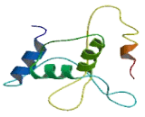 HFM1, ATP-Dependent DNA Helicase Homolog (HFM1)