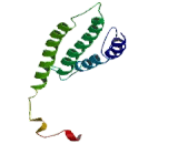 HIRA Interacting Protein 3 (HIRIP3)