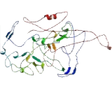 HIV1 Rev Binding Protein (HRB)