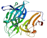 HLA-B Associated Transcript 2 Like Protein 2 (BAT2L2)