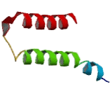 Hairy/Enhancer Of Split Related With YRPW Motif Protein 1 (HEY1)