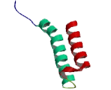 Hairy/Enhancer Of Split Related With YRPW Motif Protein 2 (HEY2)