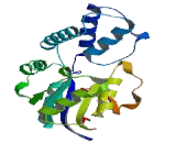 Haloacid Dehalogenase Like Hydrolase Domain Containing Protein 1 (HDHD1)