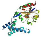 Haloacid Dehalogenase Like Hydrolase Domain Containing Protein 3 (HDHD3)