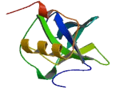 Eukaryotic Translation Initiation Factor 1A Domain Containing Protein (EIF1AD)