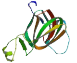 Heat Shock 27kDa Associated Protein 1 (HSPBAP1)