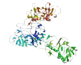 Heat Shock 70kDa Protein 5 Binding Protein 1 (HSPA5BP1)