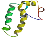 Heat Shock Protein 40 (HSP40)