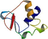 Heat Shock Transcription Factor, Y-Linked 1 (HSFY1)