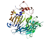 HECT Domain And RCC1 Like Domain Protein 1 (HERC1)