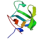 HECT Domain And RCC1 Like Domain Protein 2 (HERC2)