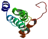 Hedgehog Acyltransferase Like Protein (HHATL)