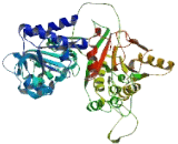 Helicase, Lymphoid Specific (HELLS)