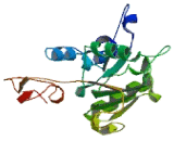 HemK Methyltransferase Family Member 1 (HEMK1)