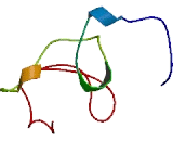 Hematological And Neurological Expressed Protein 1 (HN1)