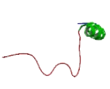 Hematopoietic Cell Signal Transducer (HCST)