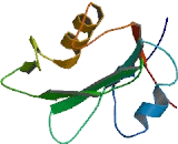 Hematopoietic SH2 Domain Containing Protein (HSH2D)