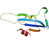 ER Membrane Protein Complex Subunit 10 (EMC10)