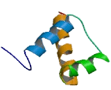 Hematopoietically Expressed Homeobox Protein (HHEX)