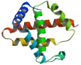 Hemoglobin Alpha 1 (HBa1)