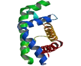 Hemoglobin Beta (HBb)