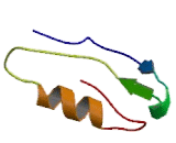 Heparan Alpha Glucosaminide-N-Acetyltransferase (HGSNAT)