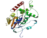 Heparan Sulfate-3-O-Sulfotransferase 1 (HS3ST1)