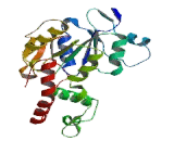 Heparan Sulfate-3-O-Sulfotransferase 2 (HS3ST2)