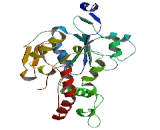 Heparan Sulfate-3-O-Sulfotransferase 3A1 (HS3ST3A1)