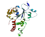 Heparan Sulfate-3-O-Sulfotransferase 3B1 (HS3ST3B1)