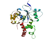 Heparan Sulfate-3-O-Sulfotransferase 4 (HS3ST4)