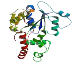 Heparan Sulfate-3-O-Sulfotransferase 6 (HS3ST6)