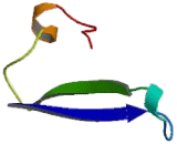 Hepatitis B Virus X Interacting Protein (HBXIP)