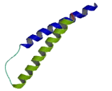 Hepatocellular Carcinoma Related Protein 1 (HCRP1)