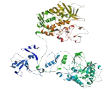 Hepatocyte Cell Adhesion Molecule 2 (HEPACAM2)