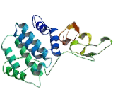 Hepatocyte Growth Factor Regulated Tyrosine Kinase Substrate (HGS)