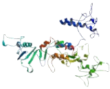 Hermansky Pudlak Syndrome Protein 3 (HPS3)