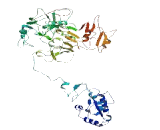 Hermansky Pudlak Syndrome Protein 4 (HPS4)