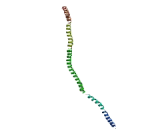 Hermansky Pudlak Syndrome Protein 5 (HPS5)