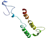 Hermansky Pudlak Syndrome Protein 6 (HPS6)