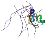 Heterogeneous Nuclear Ribonucleoprotein A2/B1 (HNRPA2B1)