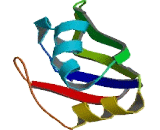 Heterogeneous Nuclear Ribonucleoprotein D Like Protein (HNRPDL)